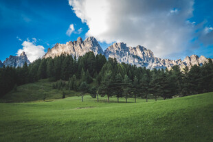 风景