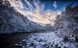 雪景
