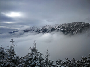 雪山云海