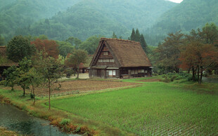乡村风景
