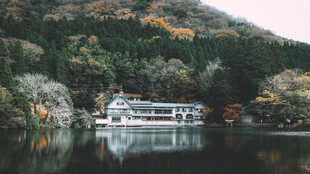 湖畔