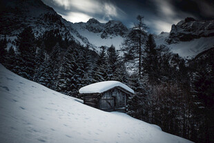 雪中美景