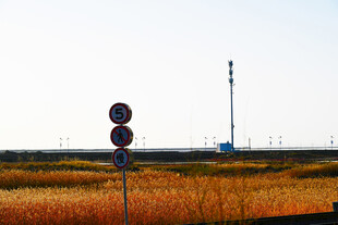 田野