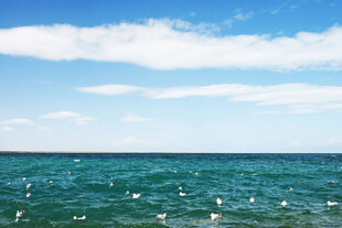 大海