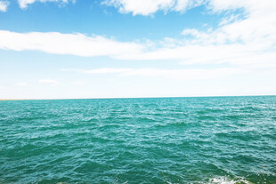 大海