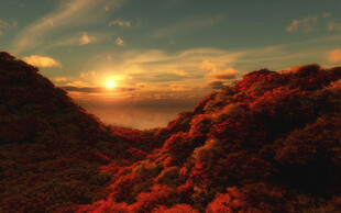 夕阳景色