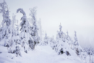雪山