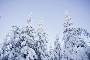 雪山