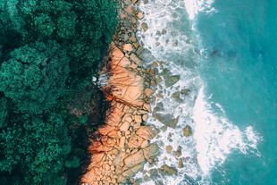 海岸