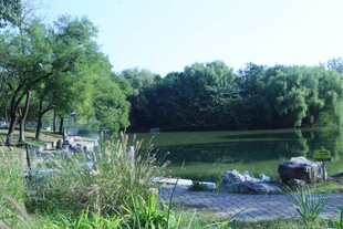 公园风景  