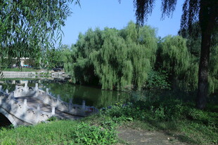 公园风景 