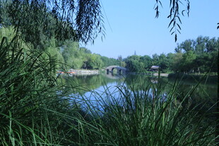 公园风景 