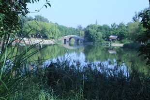 公园风景  