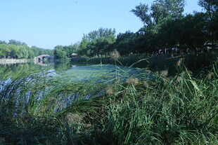 公园风景  