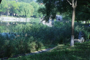公园风景  