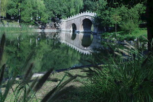 公园风景 