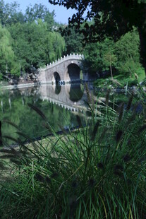 公园风景 
