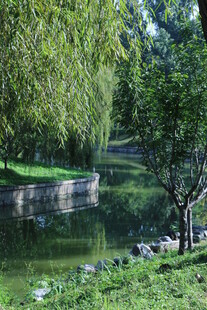 公园风景  