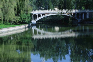 公园风景 