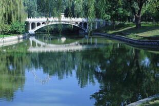 公园风景  