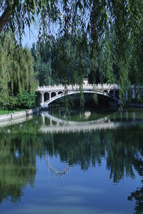 公园风景  