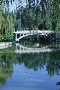 公园风景 