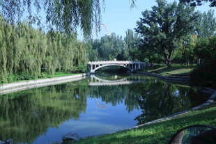 公园风景  