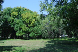 公园风景 