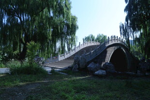 公园风景  