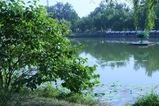 公园风景 