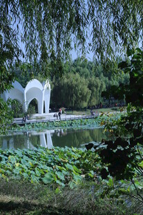 公园风景  
