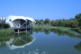 公园风景 