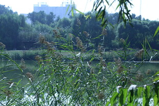 公园风景 