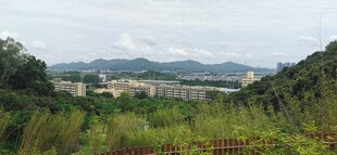 科技公园远眺随拍 