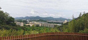 科技公园远眺随拍 