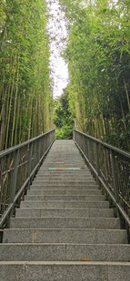 科技公园远眺随拍 