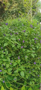 科技公园远眺随拍 