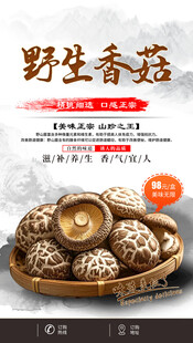 野生香菇