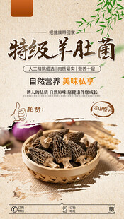 羊肚菌
