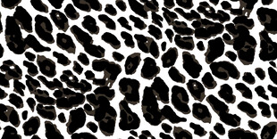 黑白豹纹图案纹理