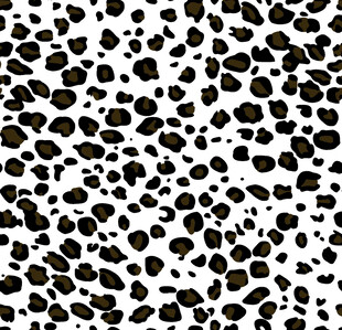 黑白豹纹图案纹理背景