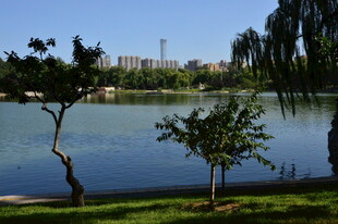 公园风景  