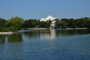 公园风景 