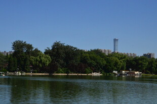 公园风景  