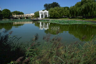 公园风景 