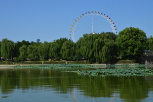 公园风景 