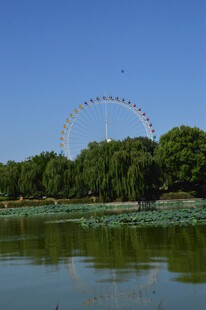 公园风景 