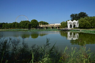 公园风景 