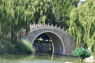 公园风景  