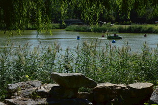 公园风景  